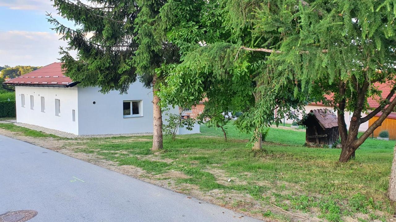 Rooms And Apartments Vili Ptuj Exteriér fotografie